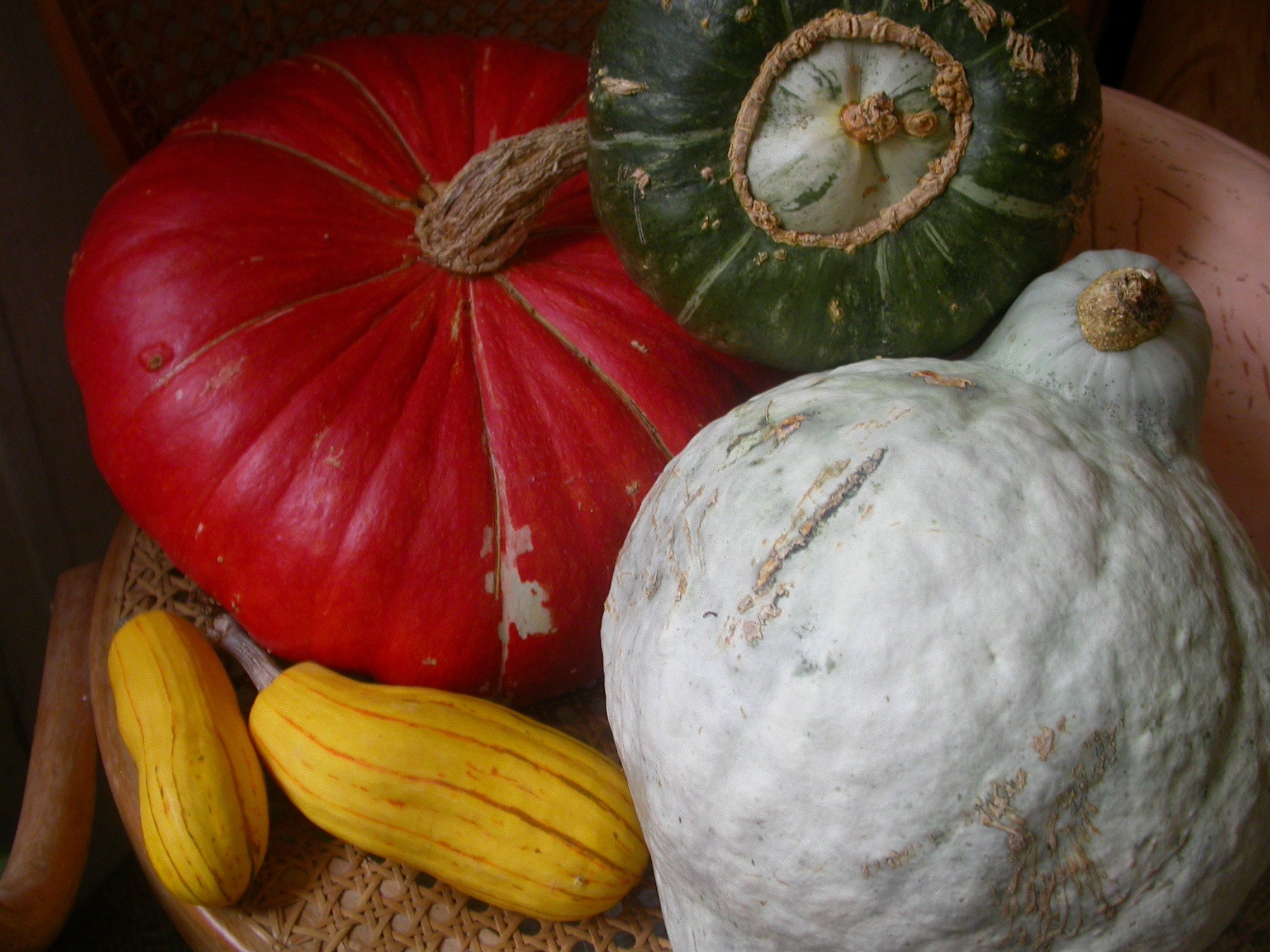 Copy of squash harvest