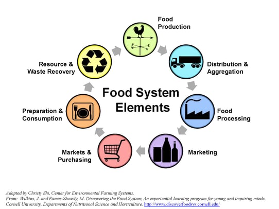 Local-Foods-System-Diagram-no-title