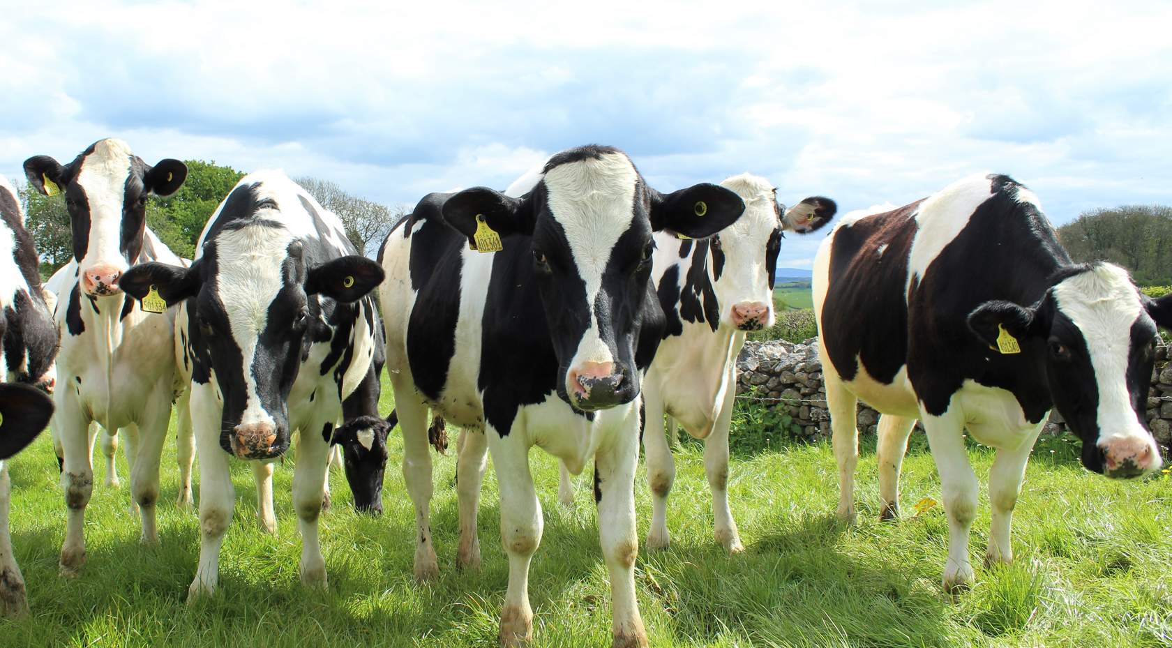 MODULE 1: Intro to Dairy Production and Processing Ind.