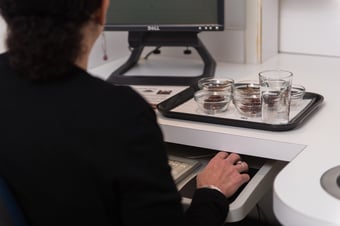 Sensory and Consumer Research