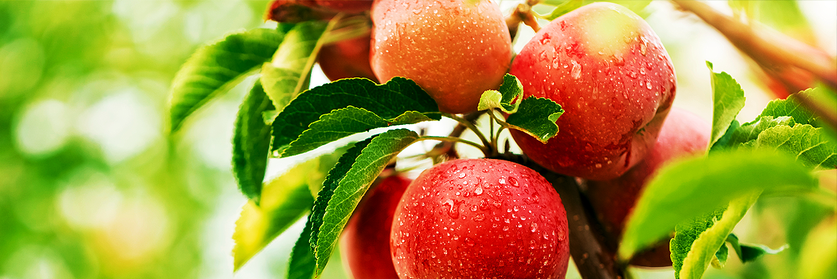 September 28 Newsletter