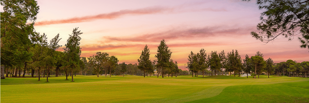 Turfgrass-email2