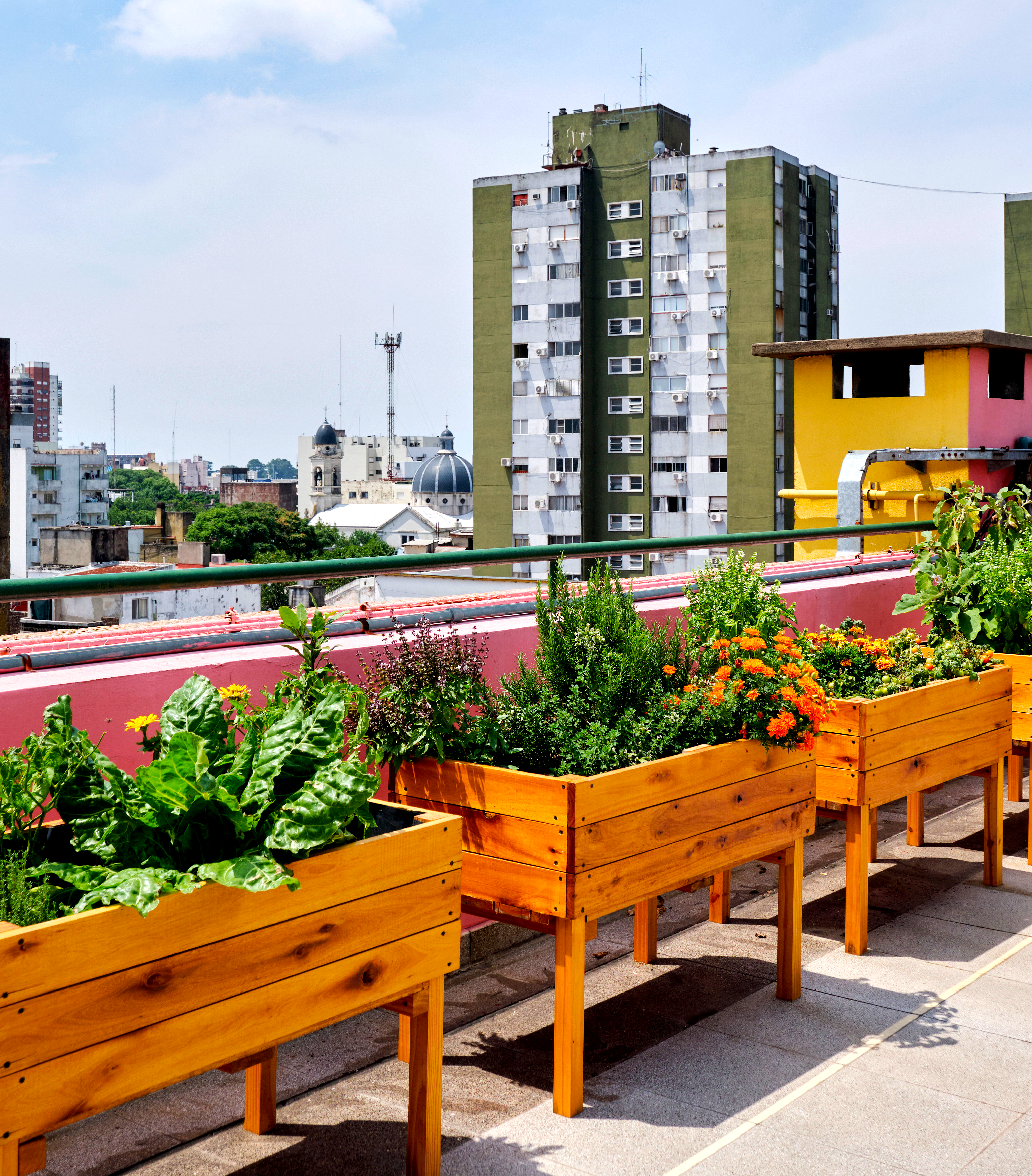 Urban Agriculture Course