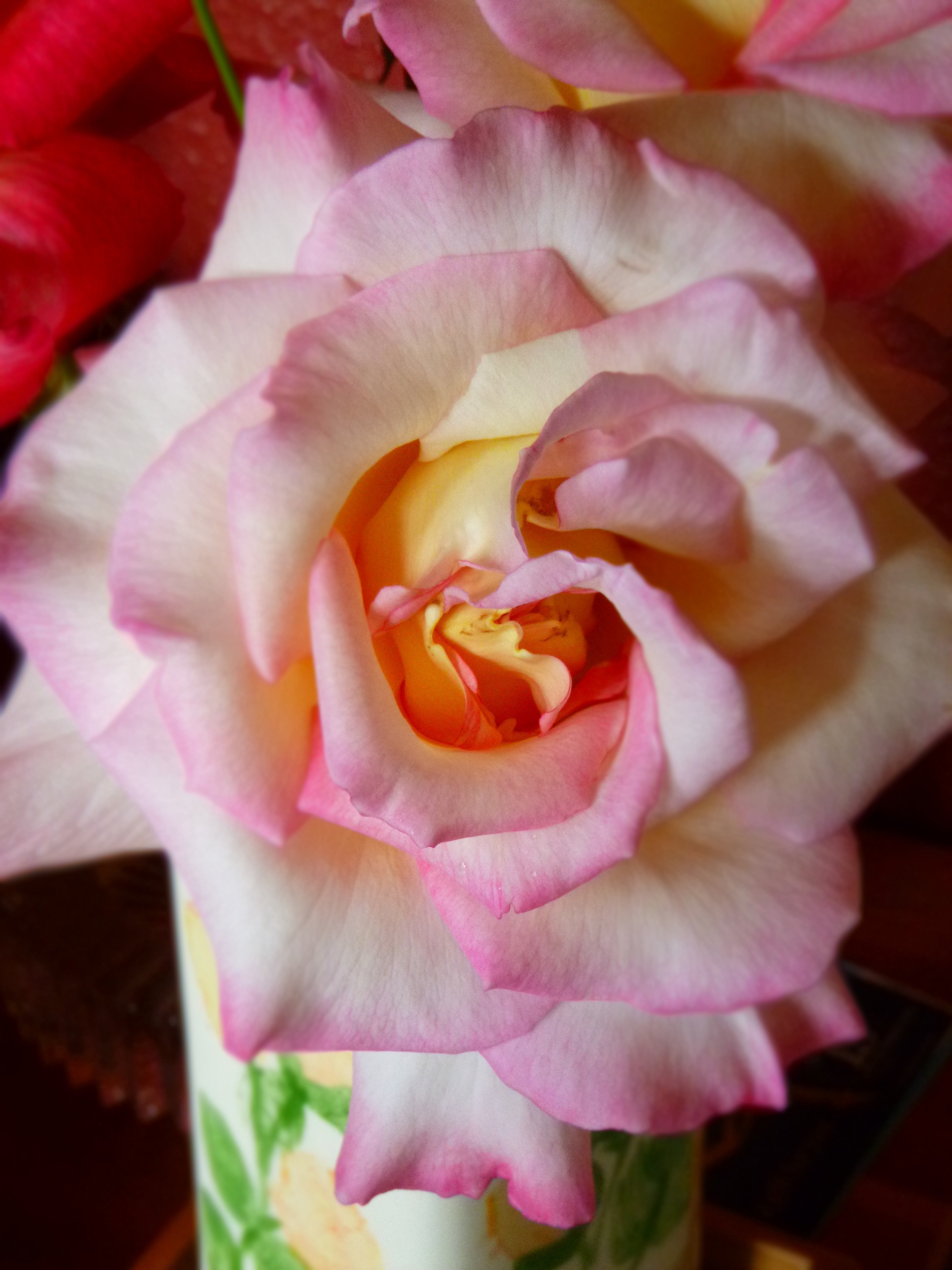 amanda w flower