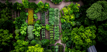 free-permaculture-course-1
