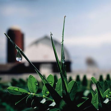 pace-osu-growing-farms_2-1