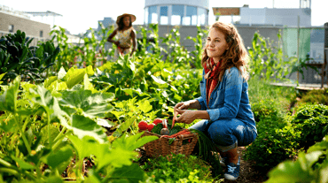 urban-agriculture-certificate-online