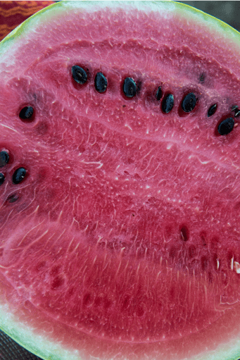 watermellon