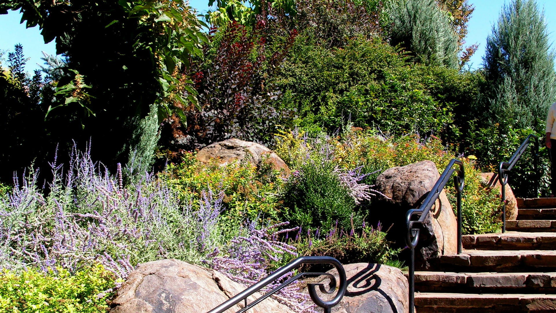 Online Lessons For Sustainable Landscape Design - Garden Lessons