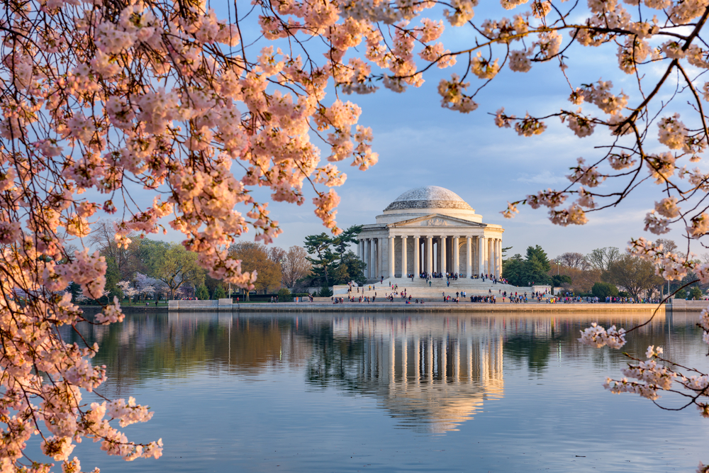 Washington, DC at the Tidal Basin and Jefferson Memorial during spring.