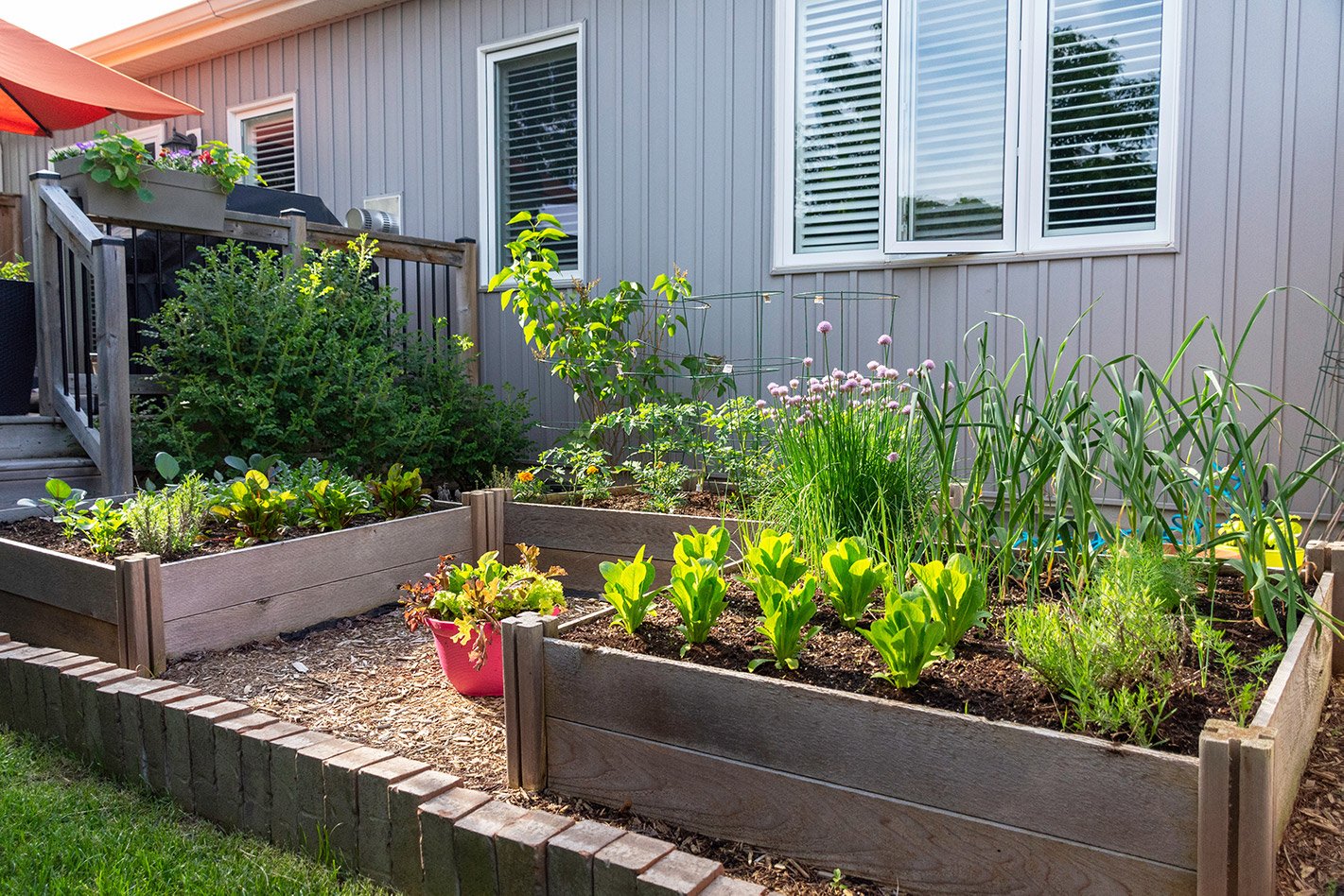 Container Gardening with Vegetables - Gasper Landscape Design & Construction