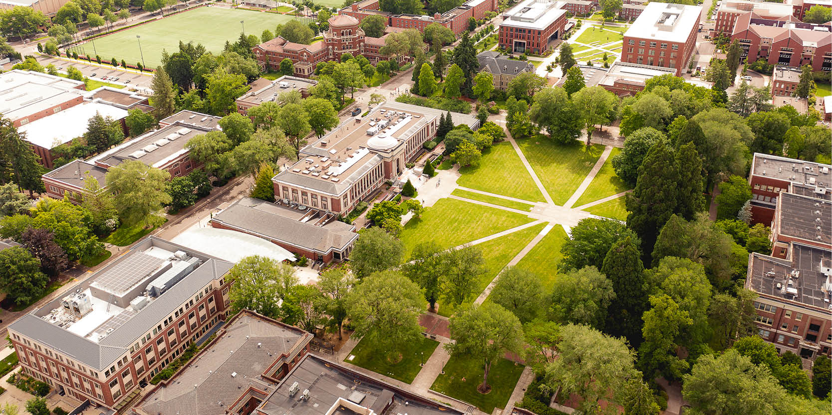 aerial shot of campus tile